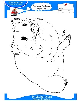 Çocuklar İçin Hamster Boyama Sayfaları 